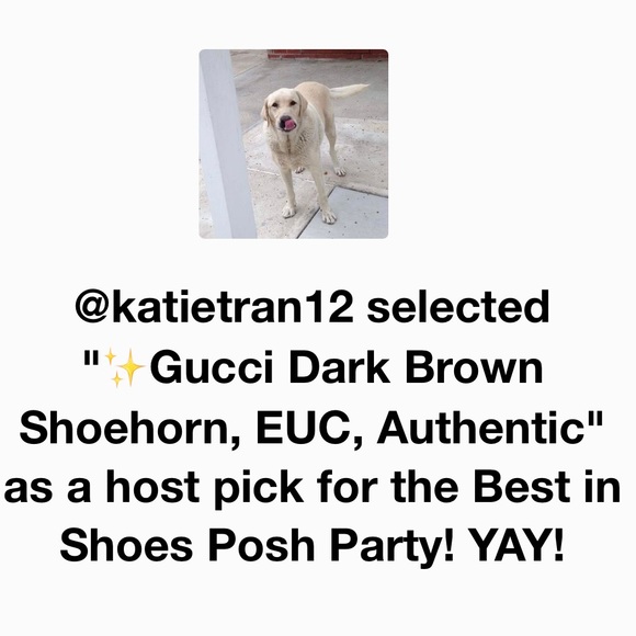 ✨ HOST PICK💕 Gucci Dark Brown Shoehorn, EUC, Authentic - Picture 6 of 6